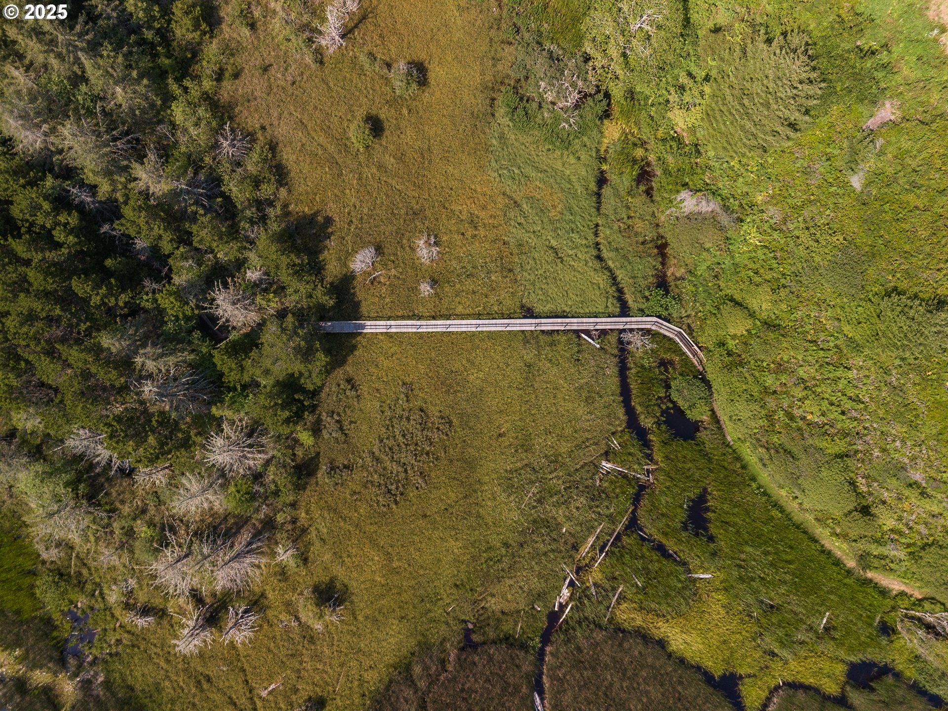 6485 Heron View Neskowin, OR 97149 - Photo 43 of 46 a bathroom with a shower