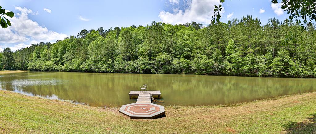 998 Pine Lake Road West Point, GA 31833 - Photo 30 of 58 Gallery Image 30