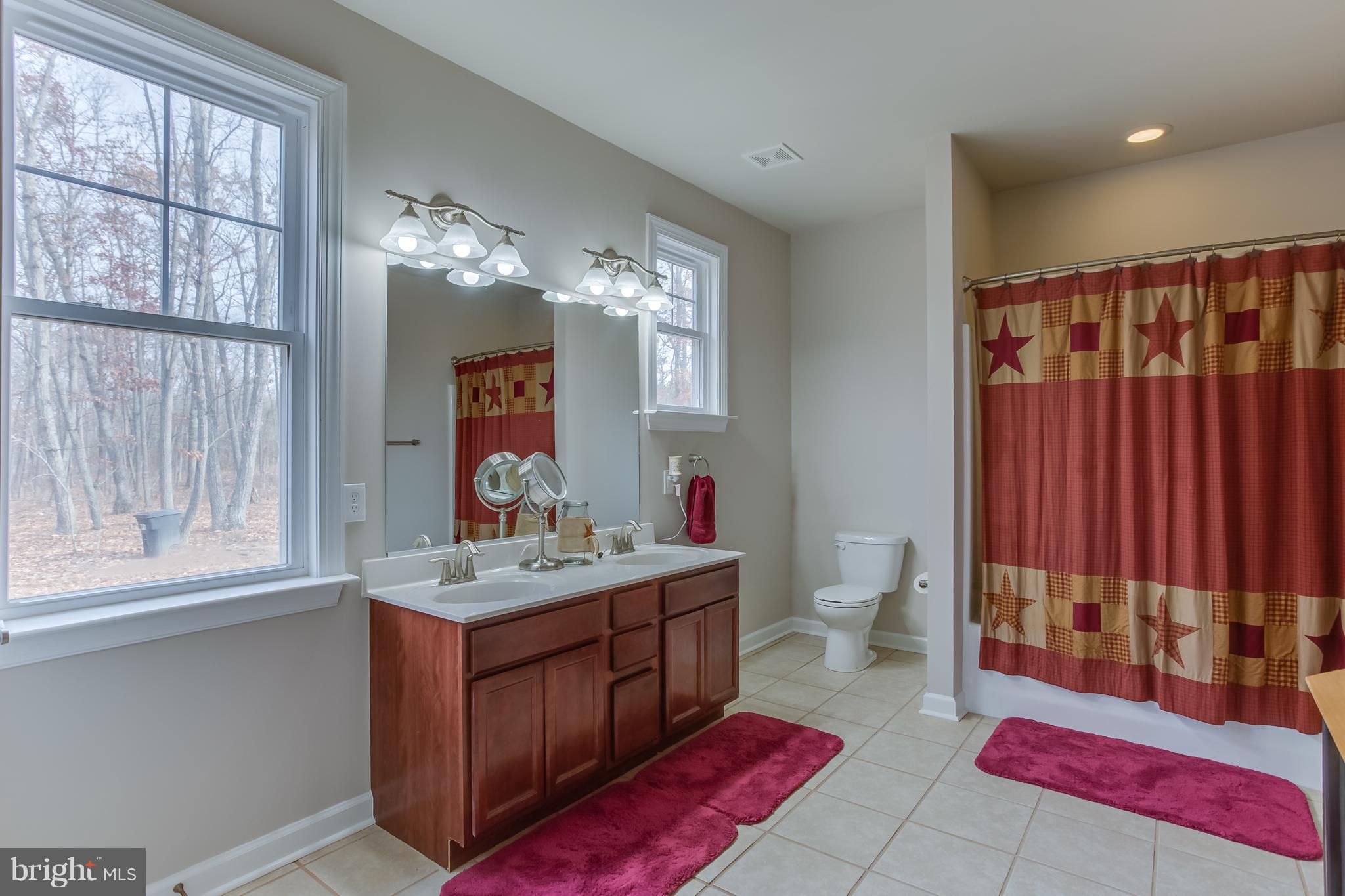 1625 Chopping Road Mineral, VA 23117 - Photo 16 of 30 Oversized master bathroom