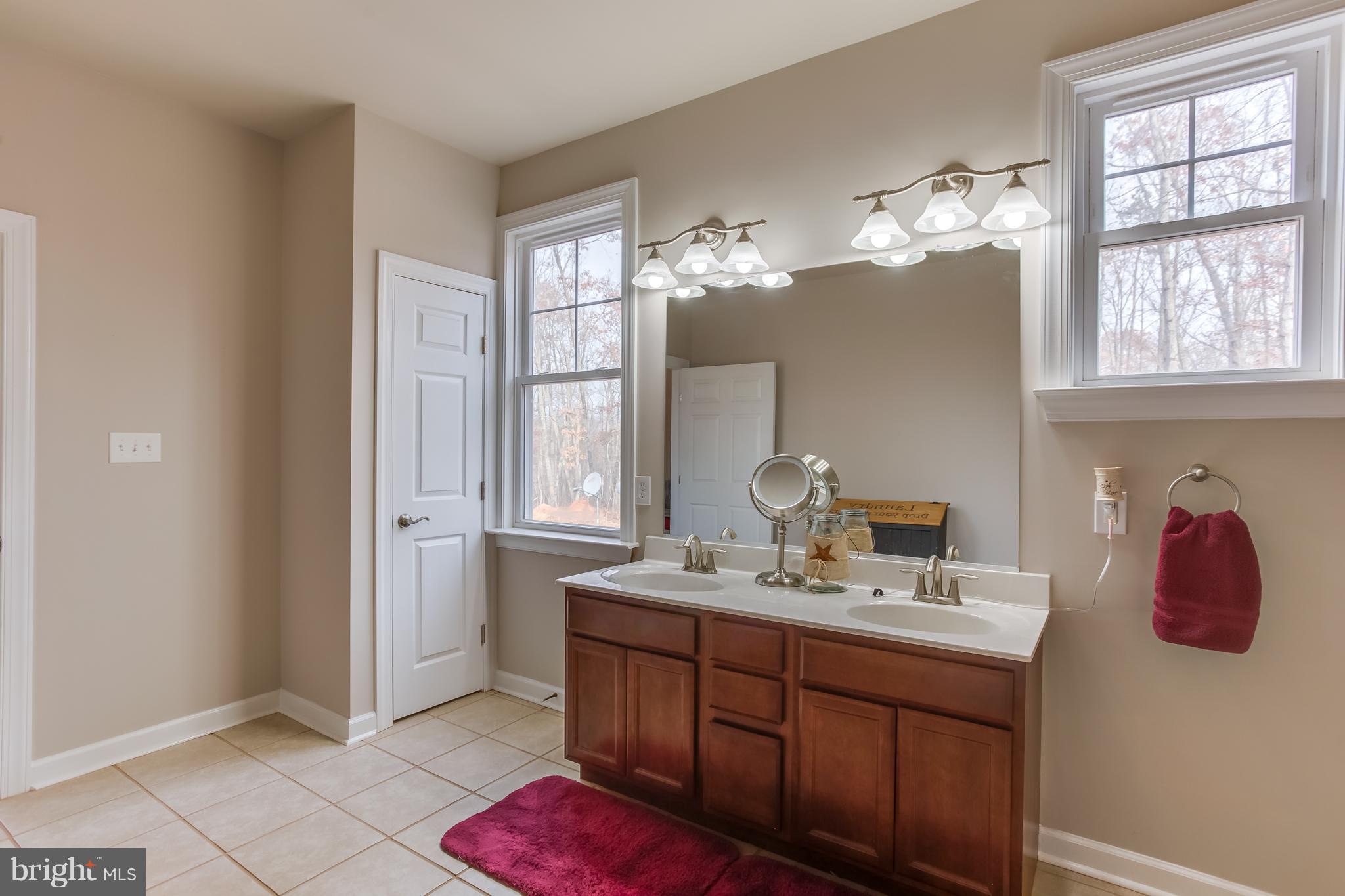 1625 Chopping Road Mineral, VA 23117 - Photo 17 of 30 Double vanities and linen closet