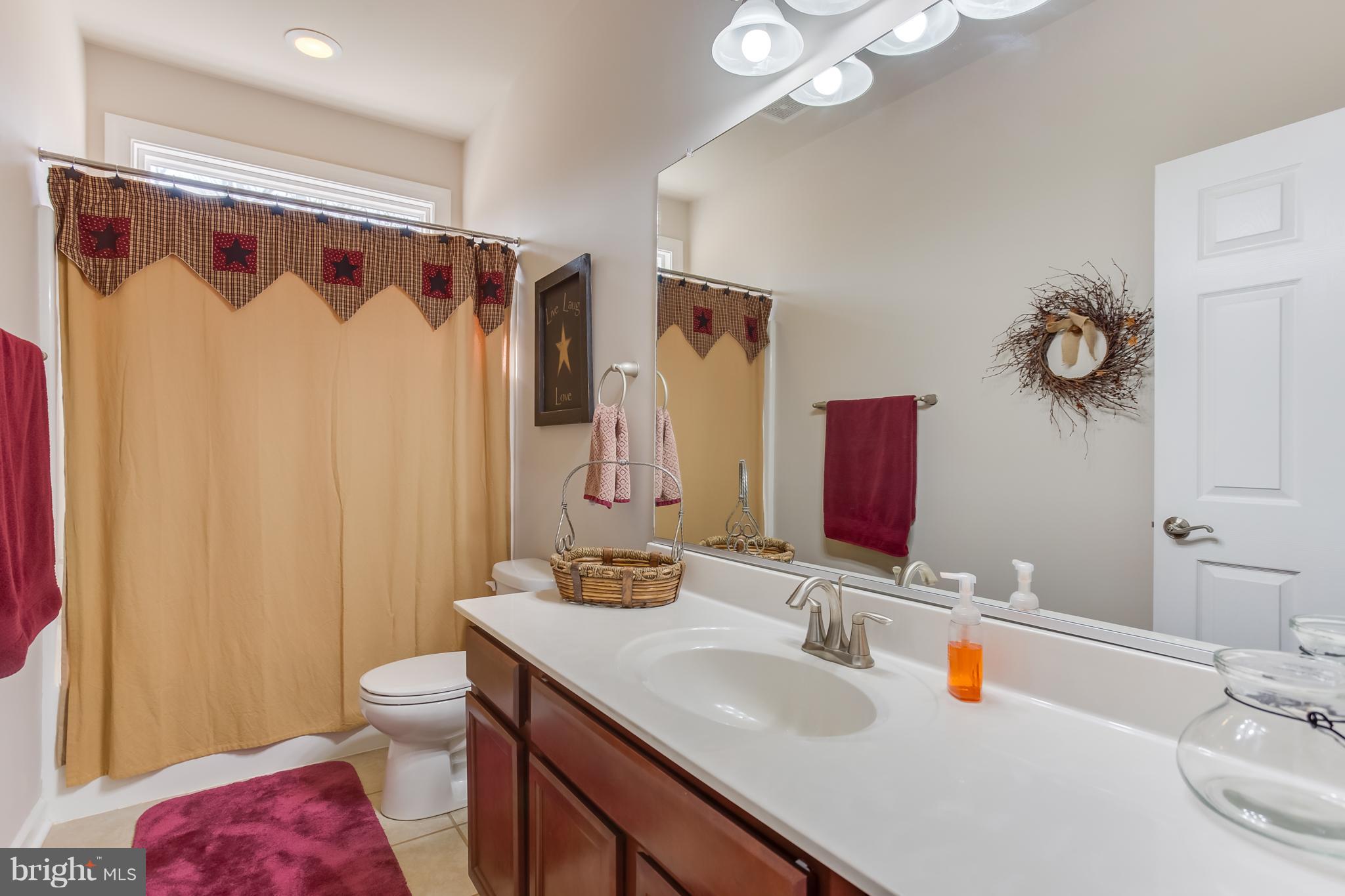 1625 Chopping Road Mineral, VA 23117 - Photo 19 of 30 Main level full bath