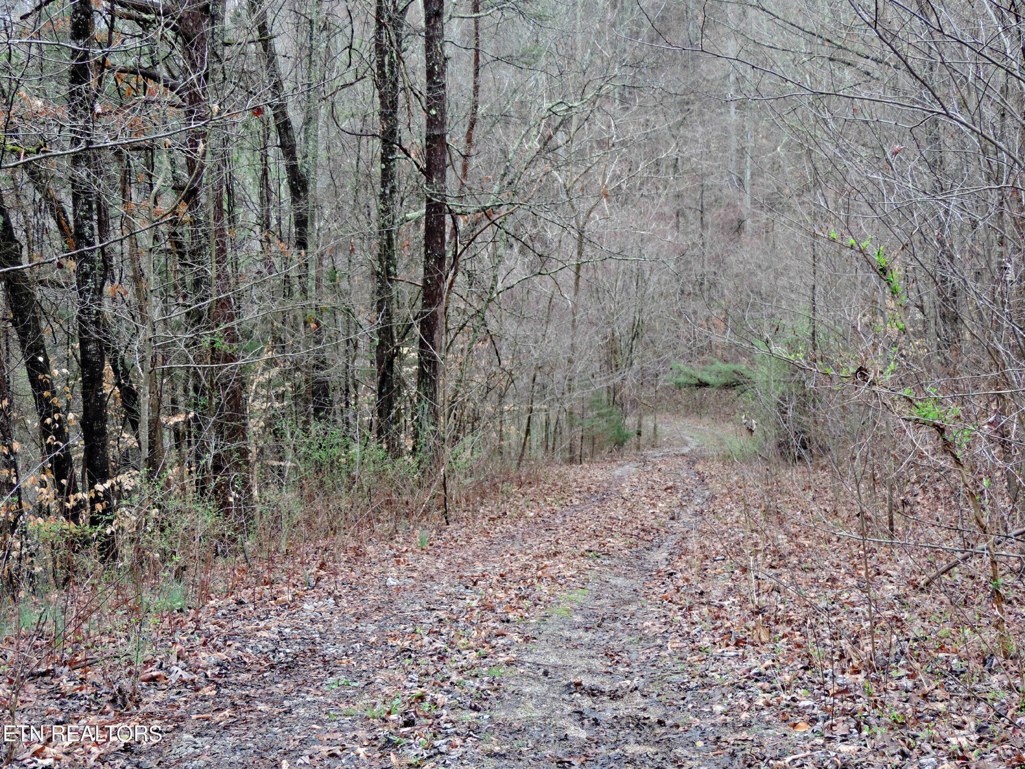 10 Hickory Spgs Road Washburn, TN 37888 - Photo 10 of 21 Gallery Image 10