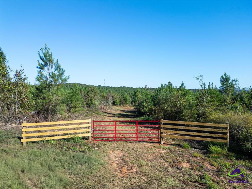 1190 Wriley Road McIntyre, GA 31054 - Photo 4 of 25 Gallery Image 4
