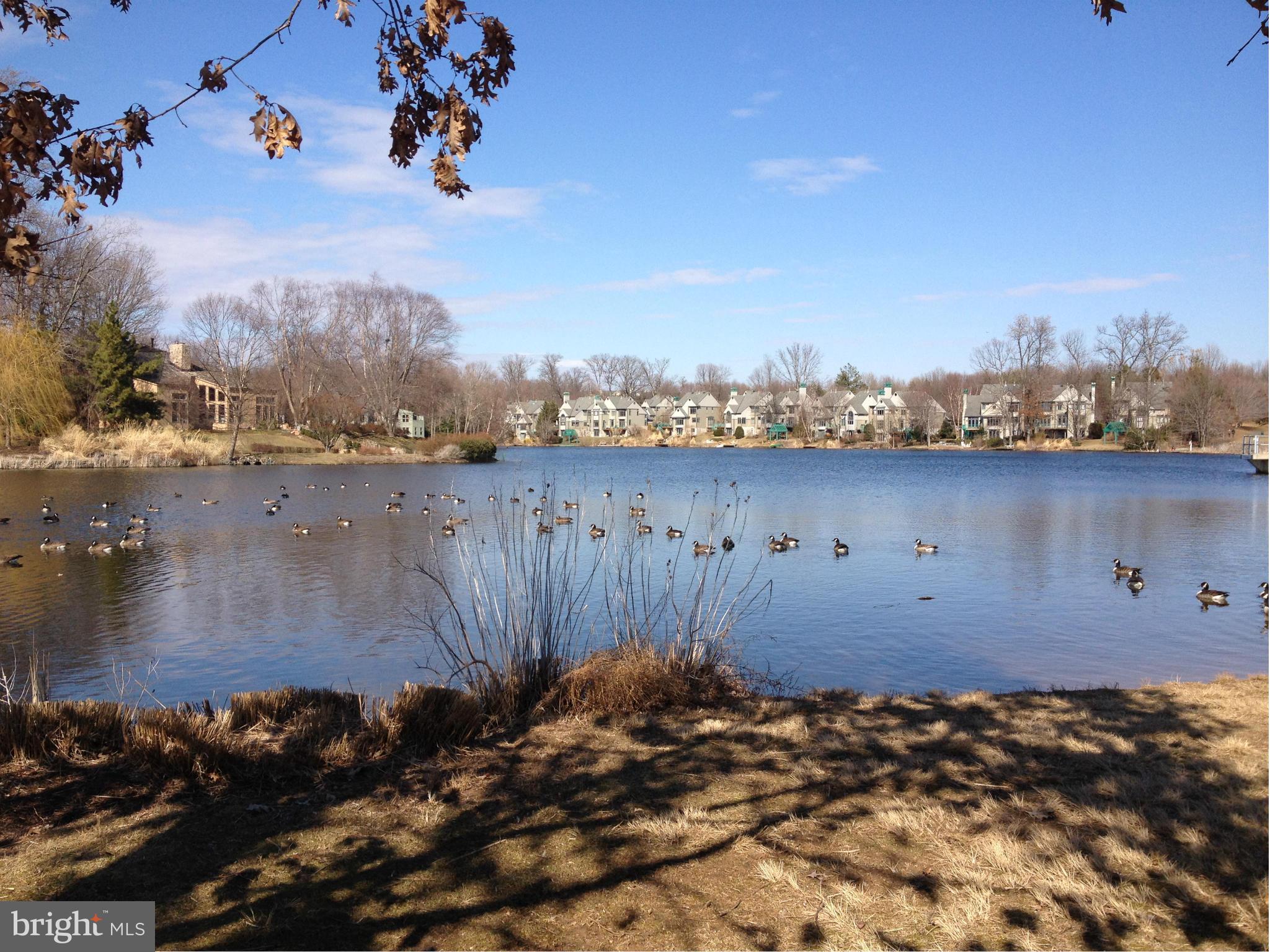 1509 North Village Road Reston, VA 20194 - Photo 30 of 30 Community