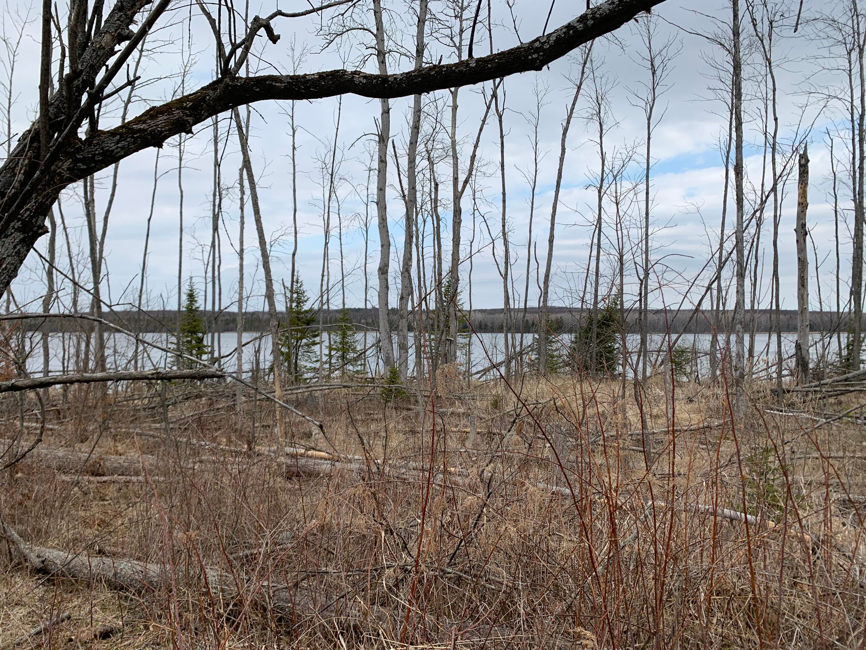 Floodwater Road Lachine, MI 49753 - Photo 1 of 12 Gallery Image 1