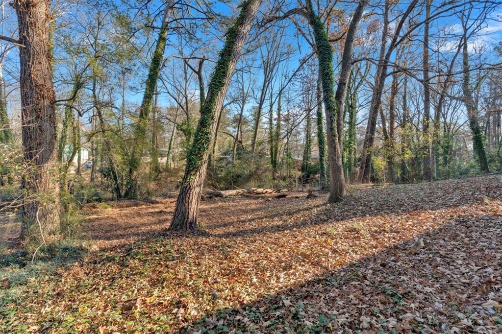 2080 Bluffton Way Decatur, GA 30035 - Photo 44 of 48 a view of a tree in the middle of a yard