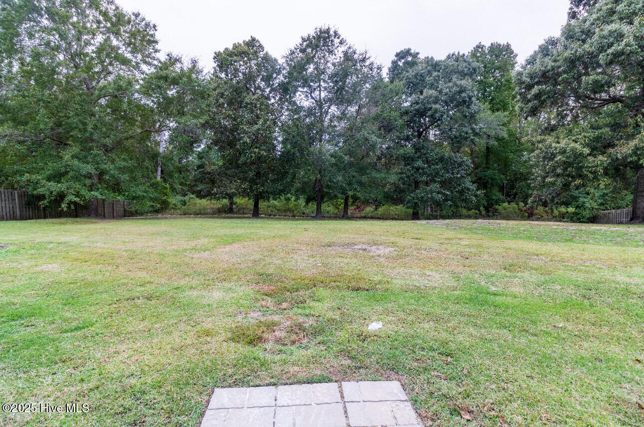 116 Lafitte Drive Hubert, NC 28539 - Photo 45 of 50 Backyard 2