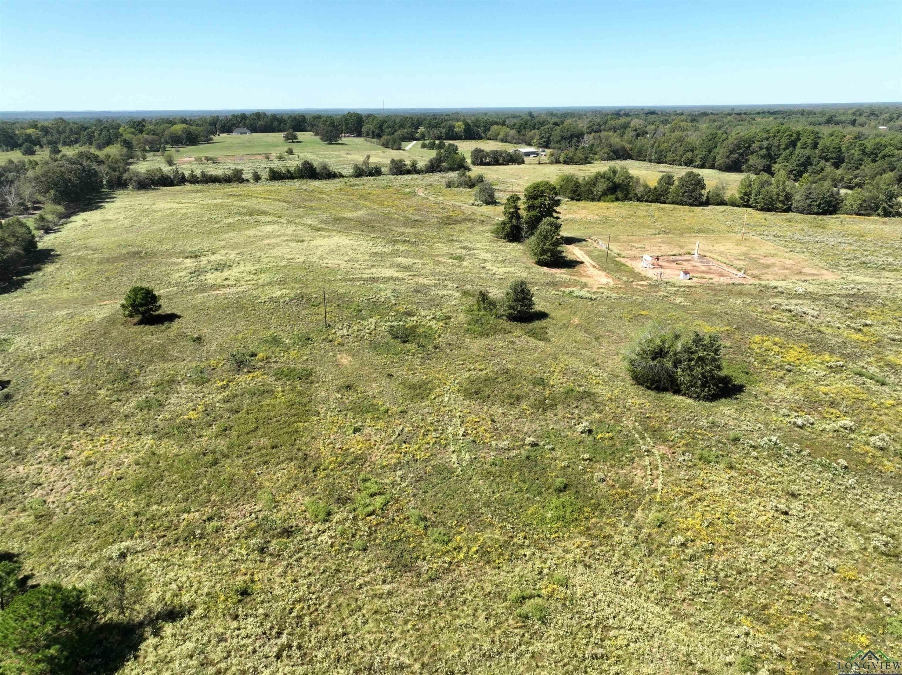 Tbd Ginger Road Gilmer, TX 75644 - Photo 18 of 27 Gallery Image 18