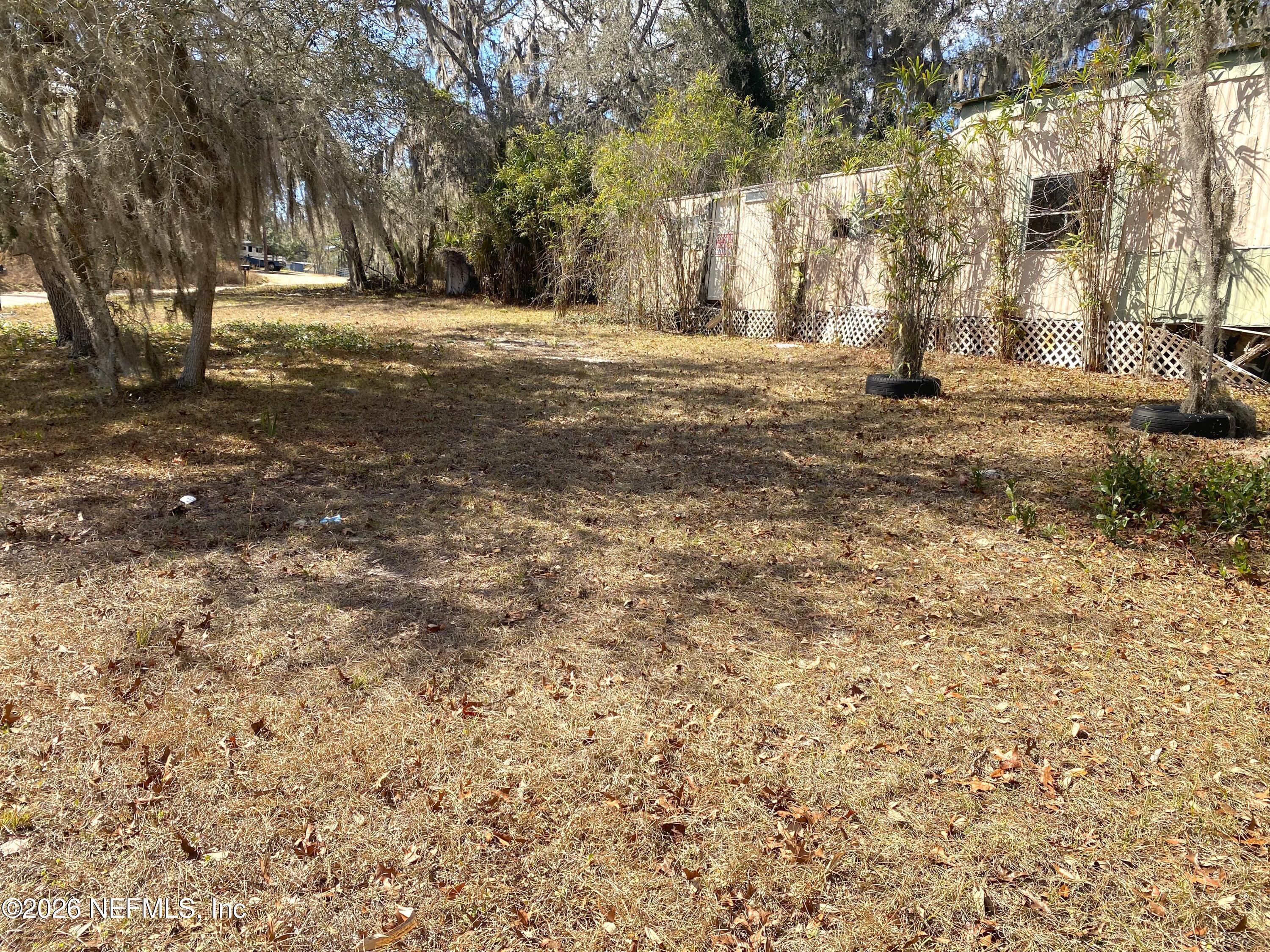 a view of dirt field with large trees