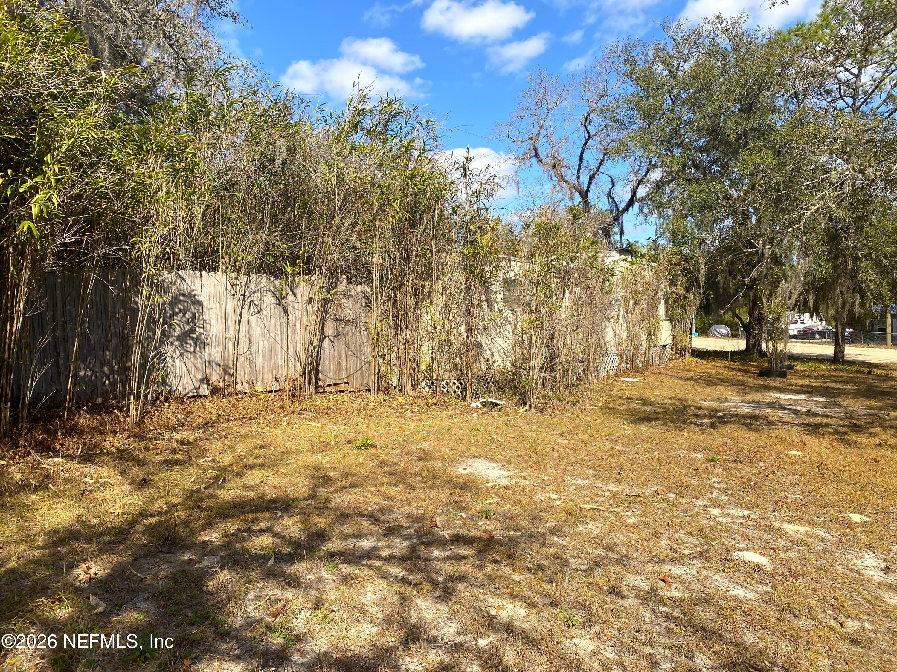 127 Riverside Trail Satsuma, FL 32189 - Photo 2 of 10 a view of yard and tree