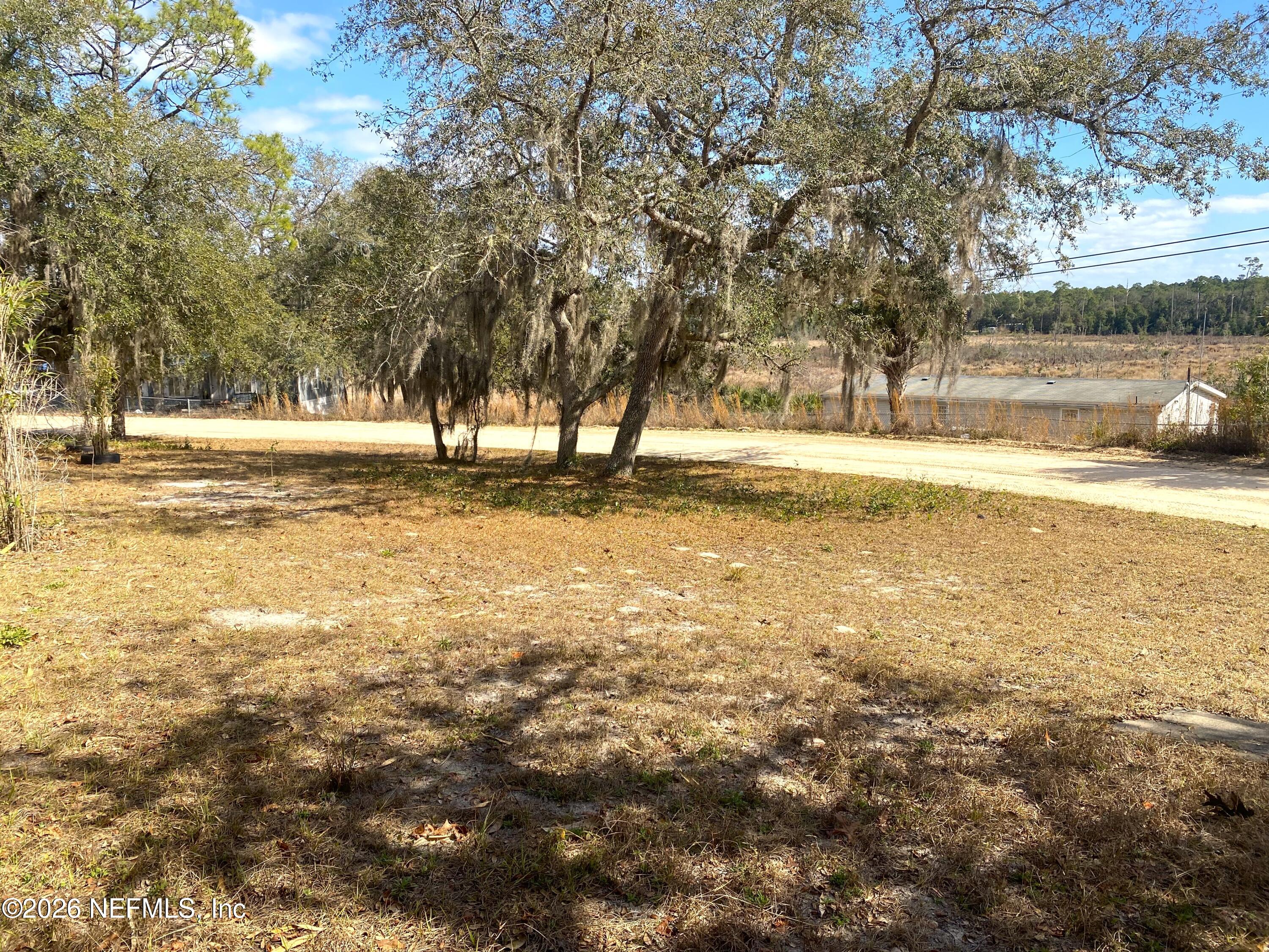 127 Riverside Trail Satsuma, FL 32189 - Photo 3 of 10 a view of a yard with large trees