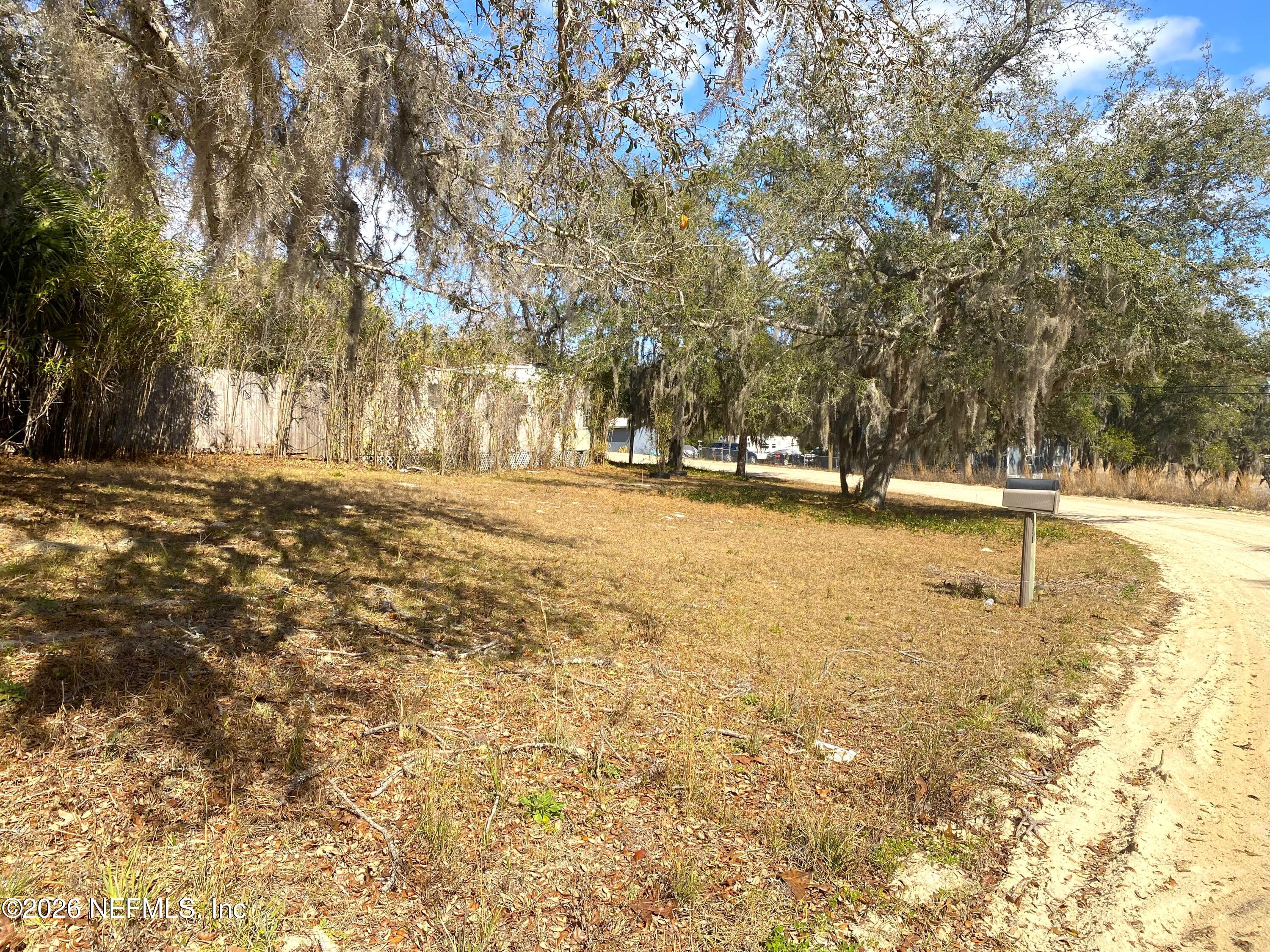 127 Riverside Trail Satsuma, FL 32189 - Photo 4 of 10 a view of a yard with a tree