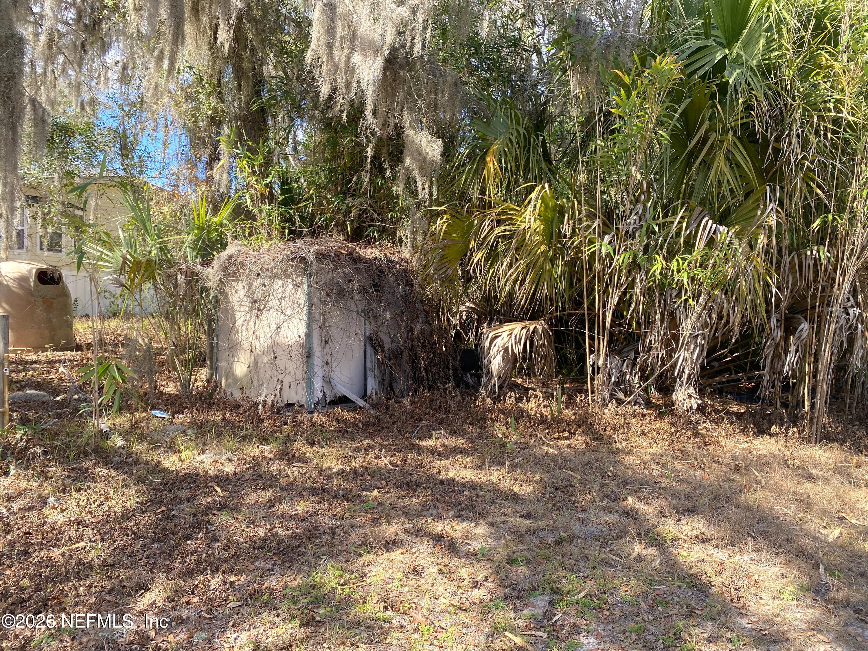 127 Riverside Trail Satsuma, FL 32189 - Photo 5 of 10 a backyard of a house with lots of green space