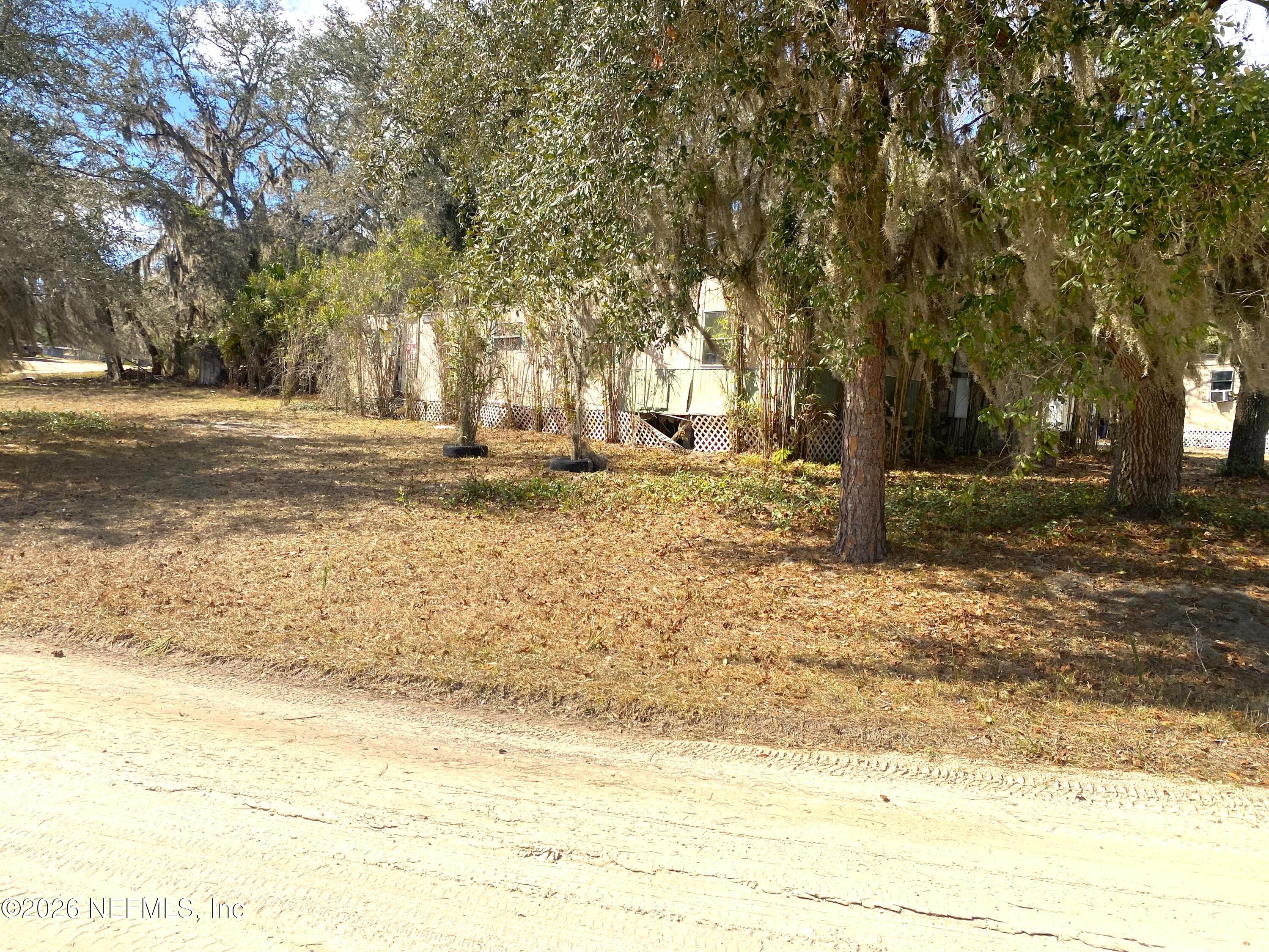 127 Riverside Trail Satsuma, FL 32189 - Photo 7 of 10 a view of yard with tree