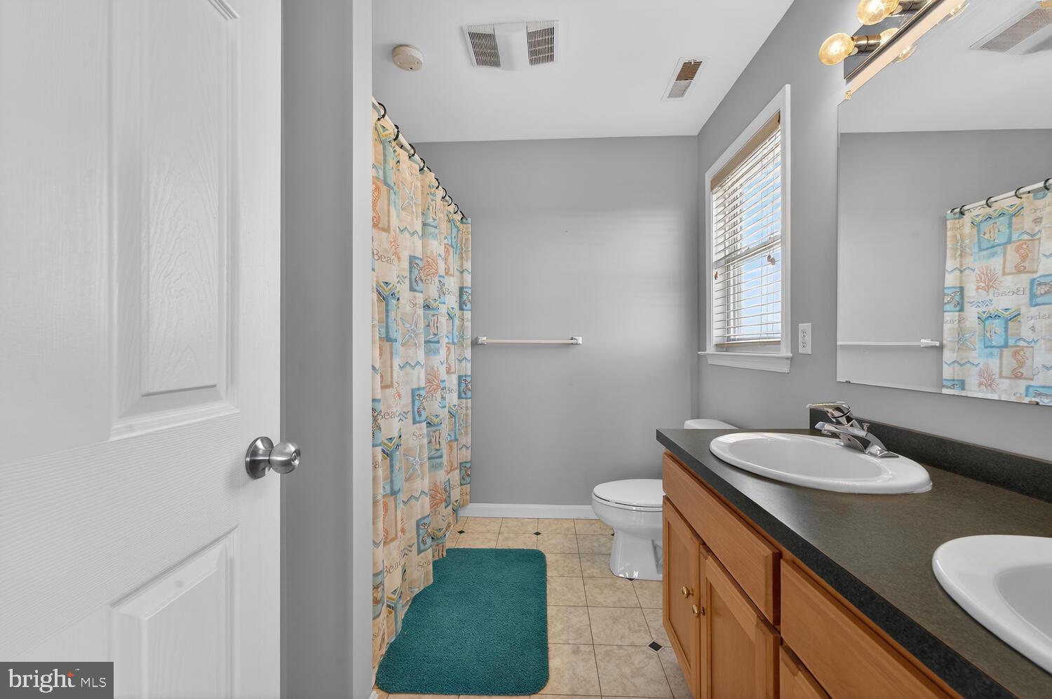 4376 South Bowers Road Milford, DE 19963 - Photo 31 of 46 a bathroom with a sink a toilet a mirror and shower