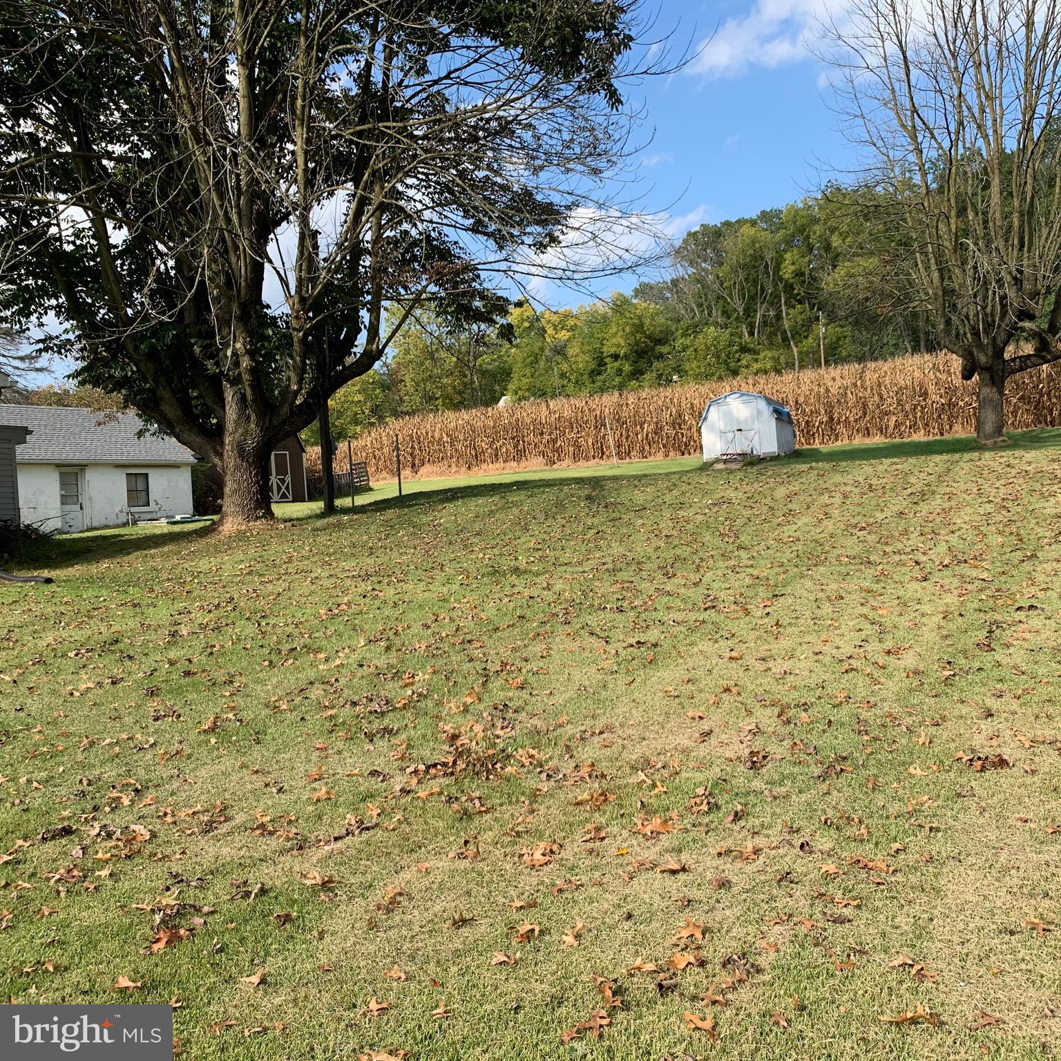 2494 River Road Bainbridge, PA 17502 - Photo 3 of 87 Gallery Image 3