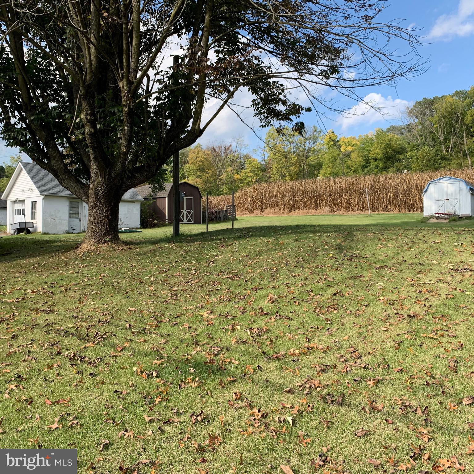 2494 River Road Bainbridge, PA 17502 - Photo 5 of 87 Gallery Image 5