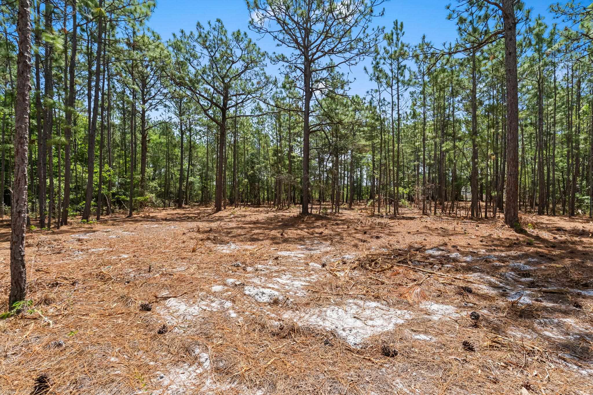 3600 Water Tower Road Longs, SC 29568 - Photo 17 of 55