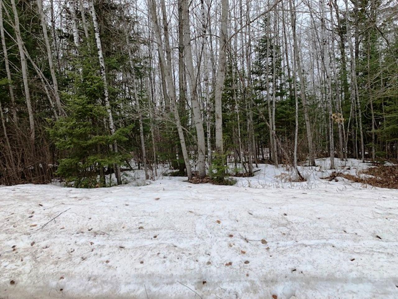 On Woods Road Felch, MI 49831 - Photo 10 of 12 Gallery Image 10