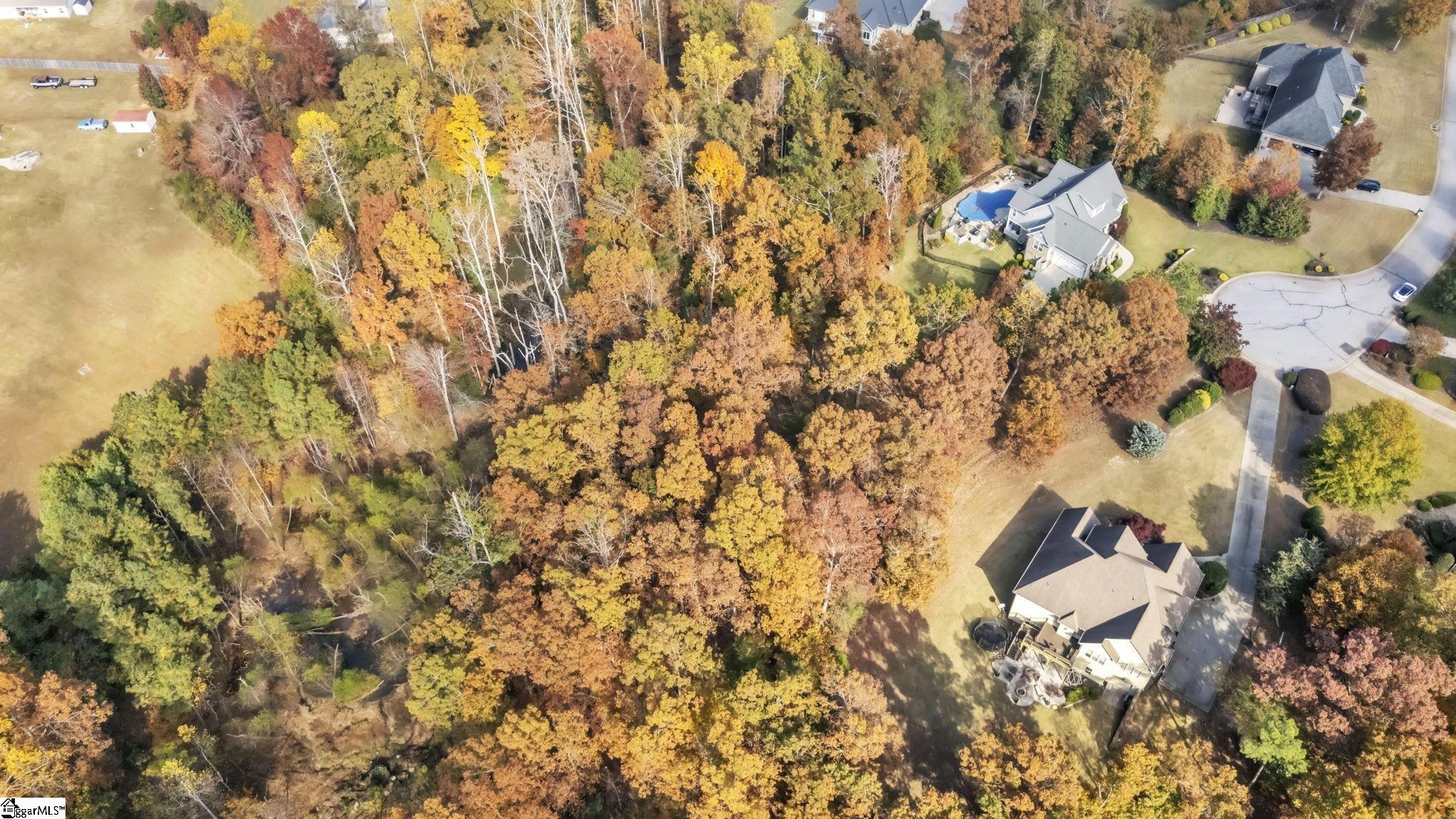 20 Bayboro Way Simpsonville, SC 29680 - Photo 4 of 12