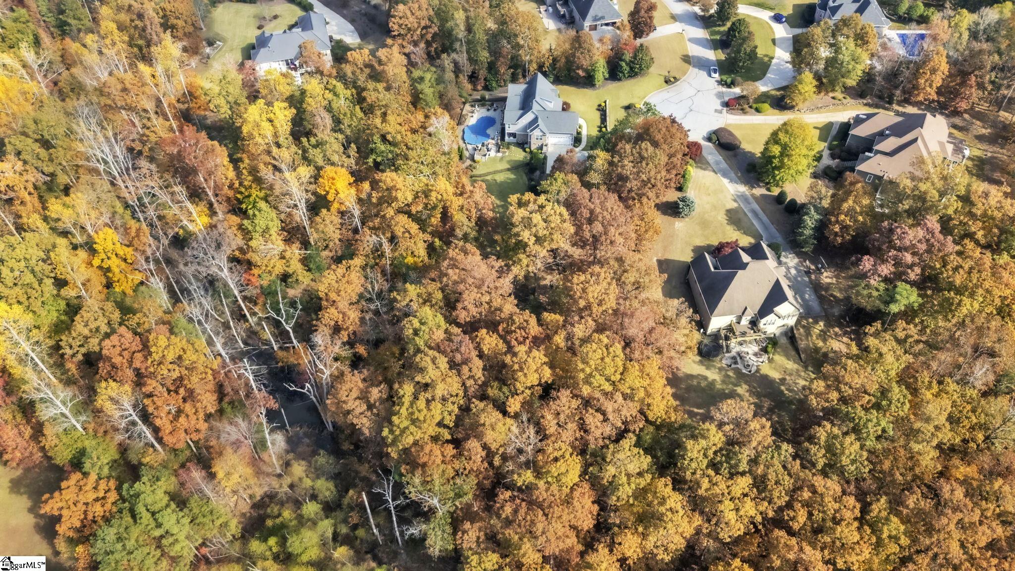 20 Bayboro Way Simpsonville, SC 29680 - Photo 5 of 12