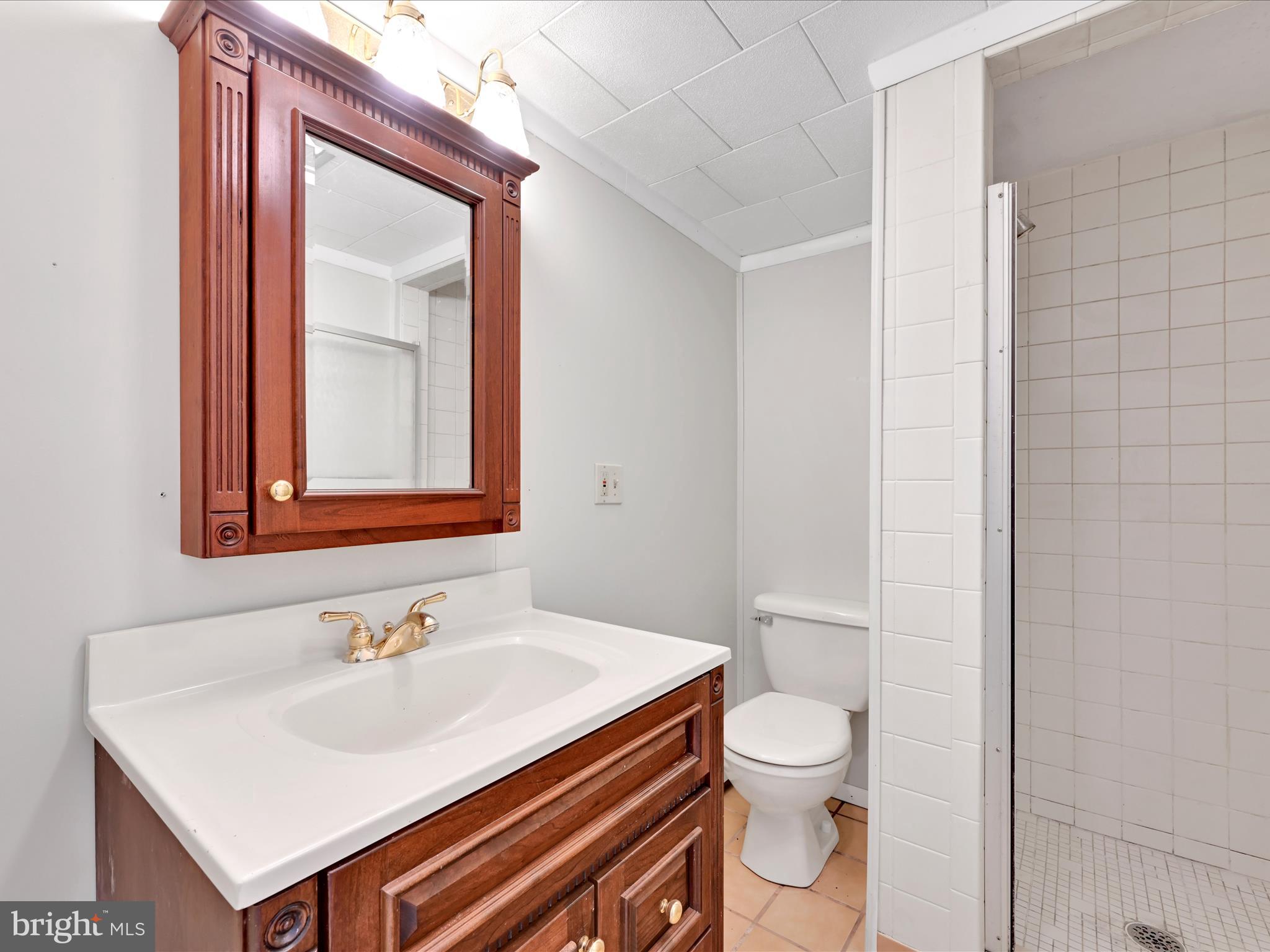 447 Greentree Road Elizabethtown, PA 17022 - Photo 17 of 28 Bathroom