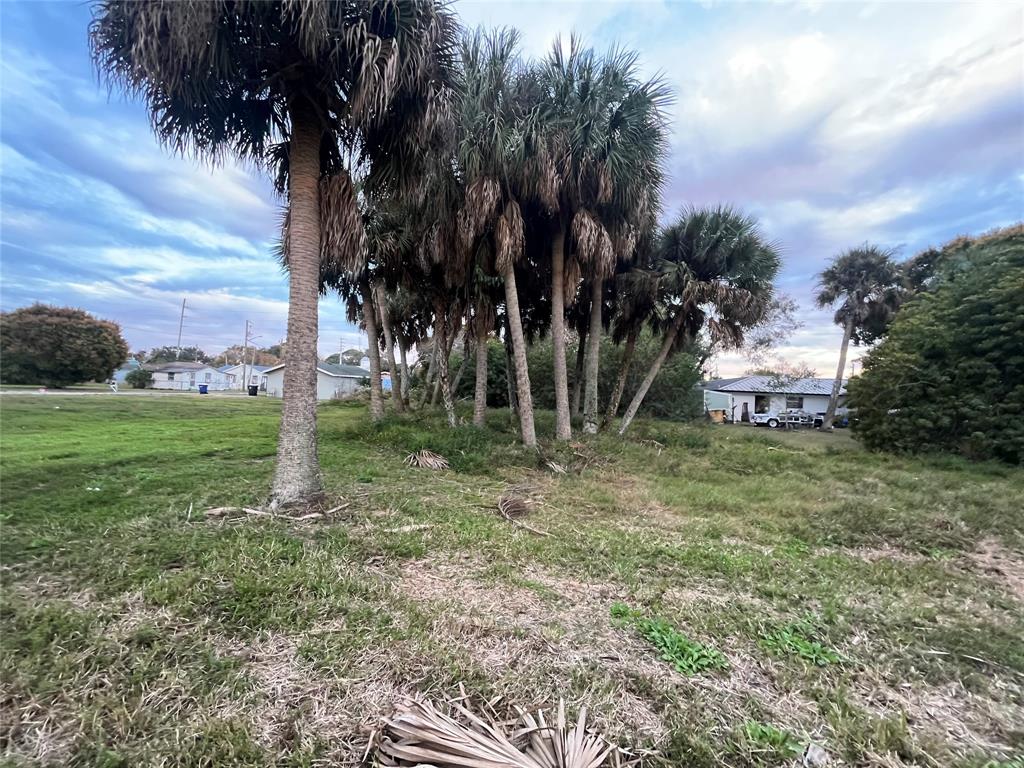 605 North 8th Street Fort Pierce, FL 34950 - Photo 3 of 8 a view of a yard with palm trees