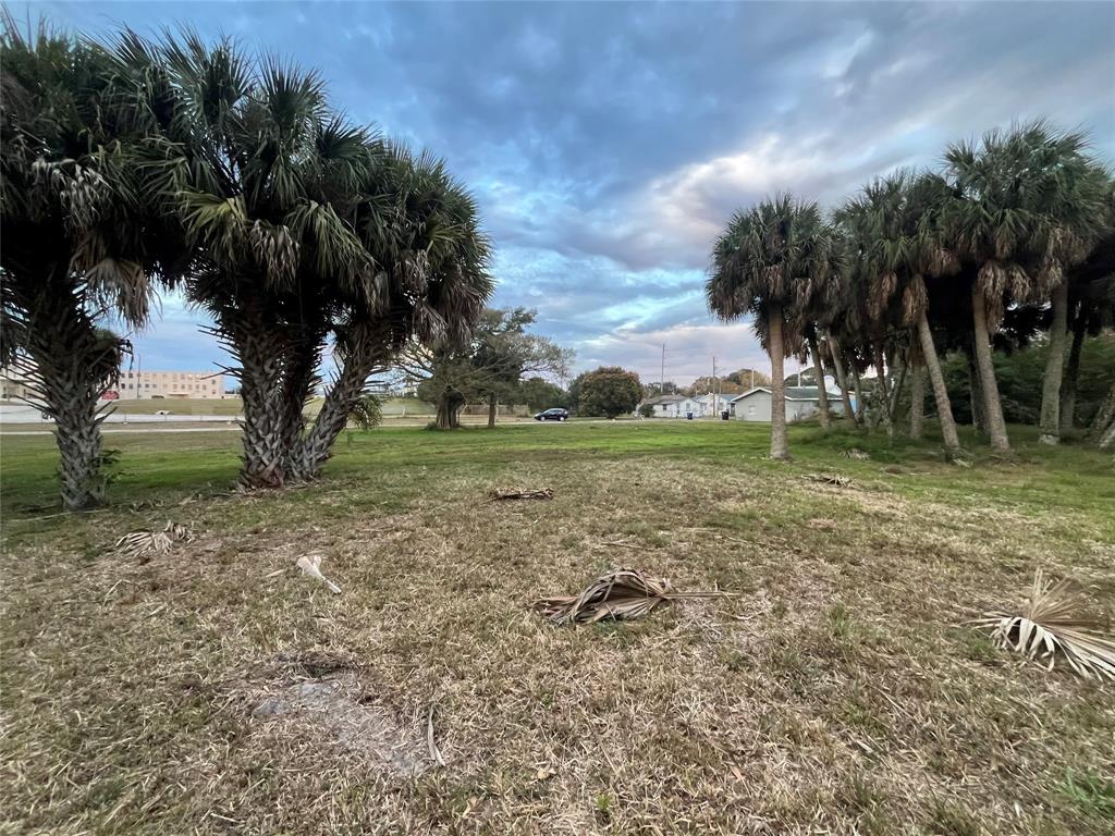 605 North 8th Street Fort Pierce, FL 34950 - Photo 4 of 8 a view of outdoor space with trees