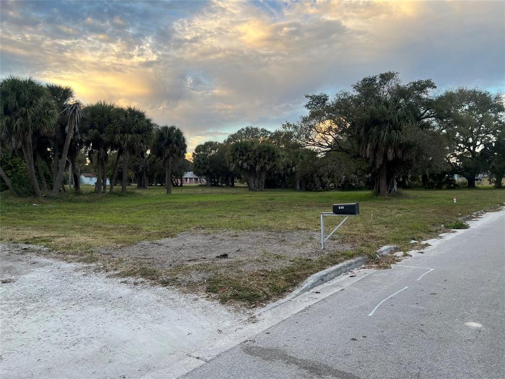 605 North 8th Street Fort Pierce, FL 34950 - Photo 6 of 8 a backyard of a house with lots of green space and trampoline