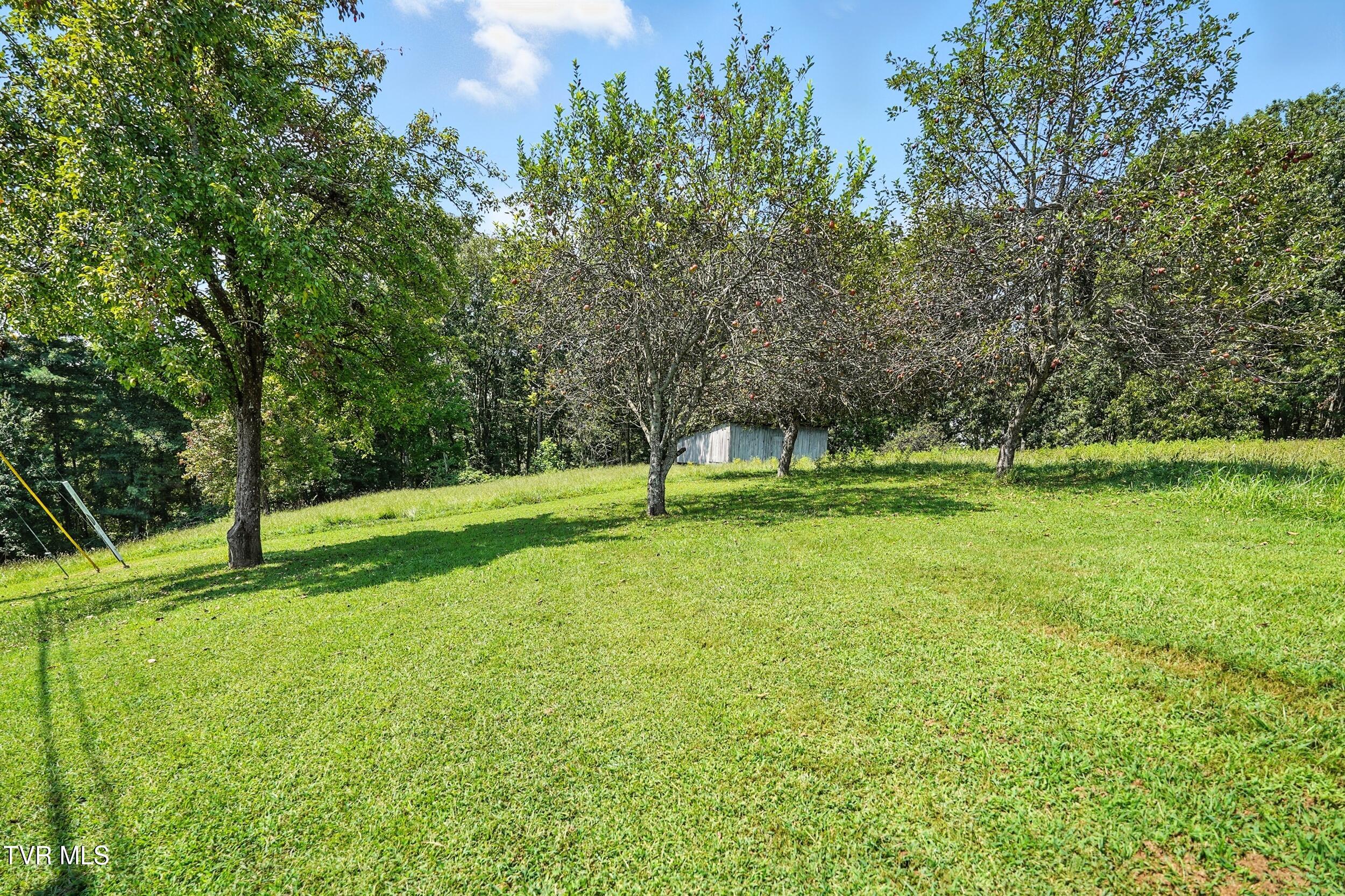 2067 High Point Road Castlewood, VA 24224 - Photo 38 of 48 39_dsc02520