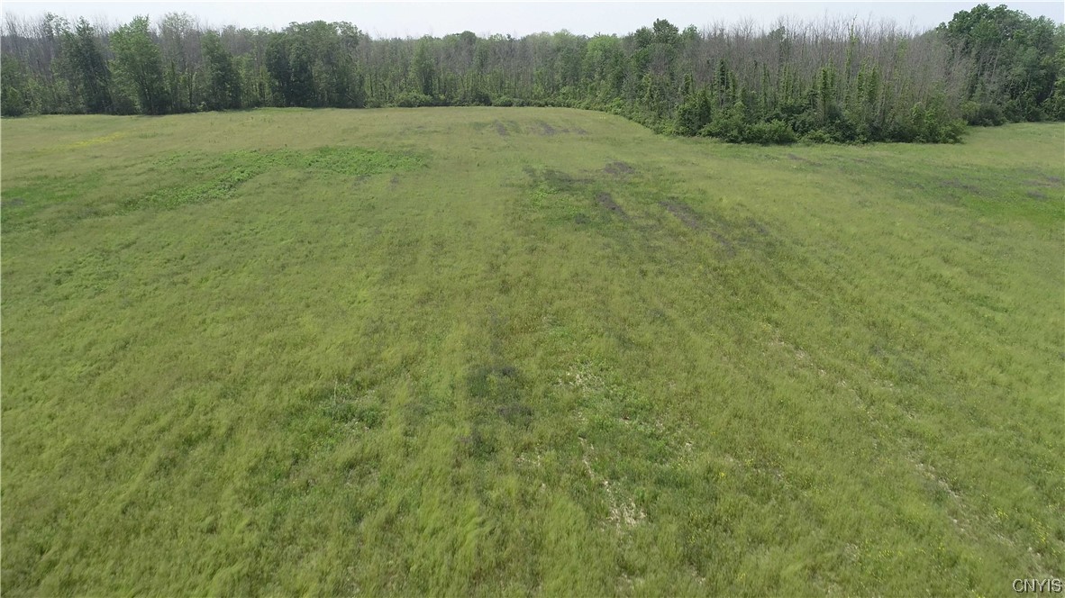 L18 Co Rt 12 Road Pennellville, NY 13132 - Photo 3 of 6