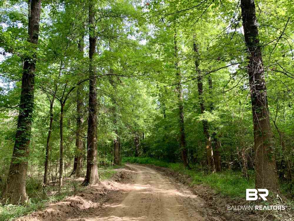 0 Country Road Uriah, AL 36480 - Photo 9 of 49