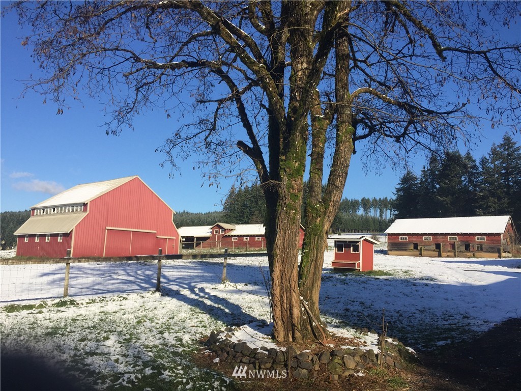416 Nelson Road Winlock, WA 98596 - Photo 2 of 15