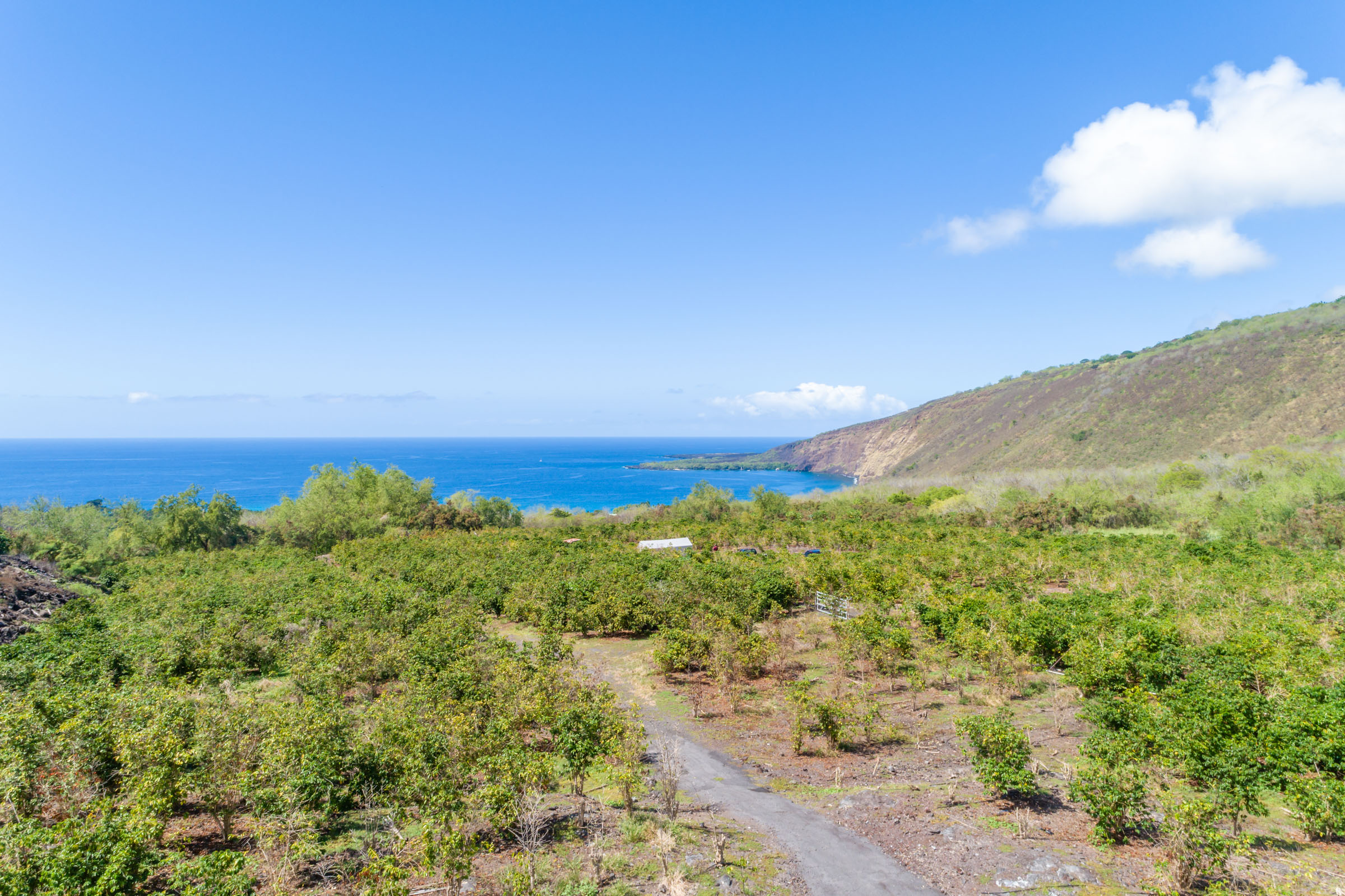 82-1171 Meli Road Captain Cook, HI 96704 - Photo 25 of 29 a view of a city