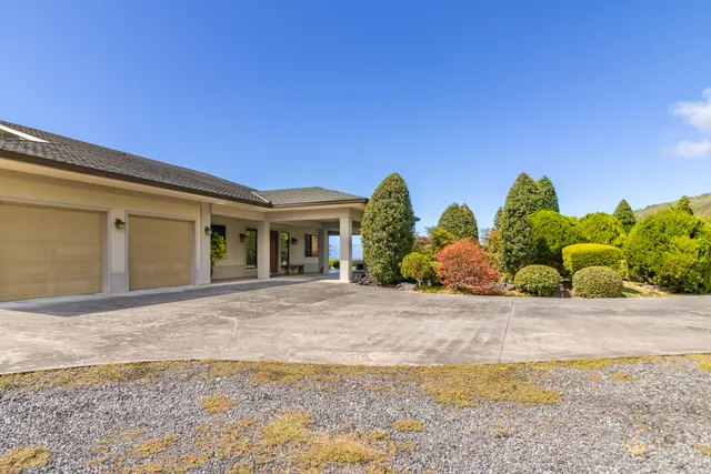 a view of room with wooden floor and plant