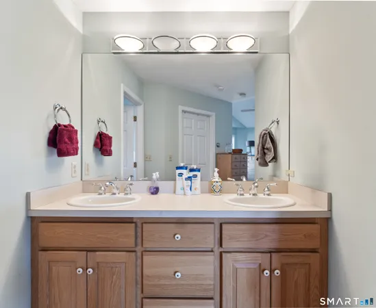 a bathroom with a sink vanity and a mirror