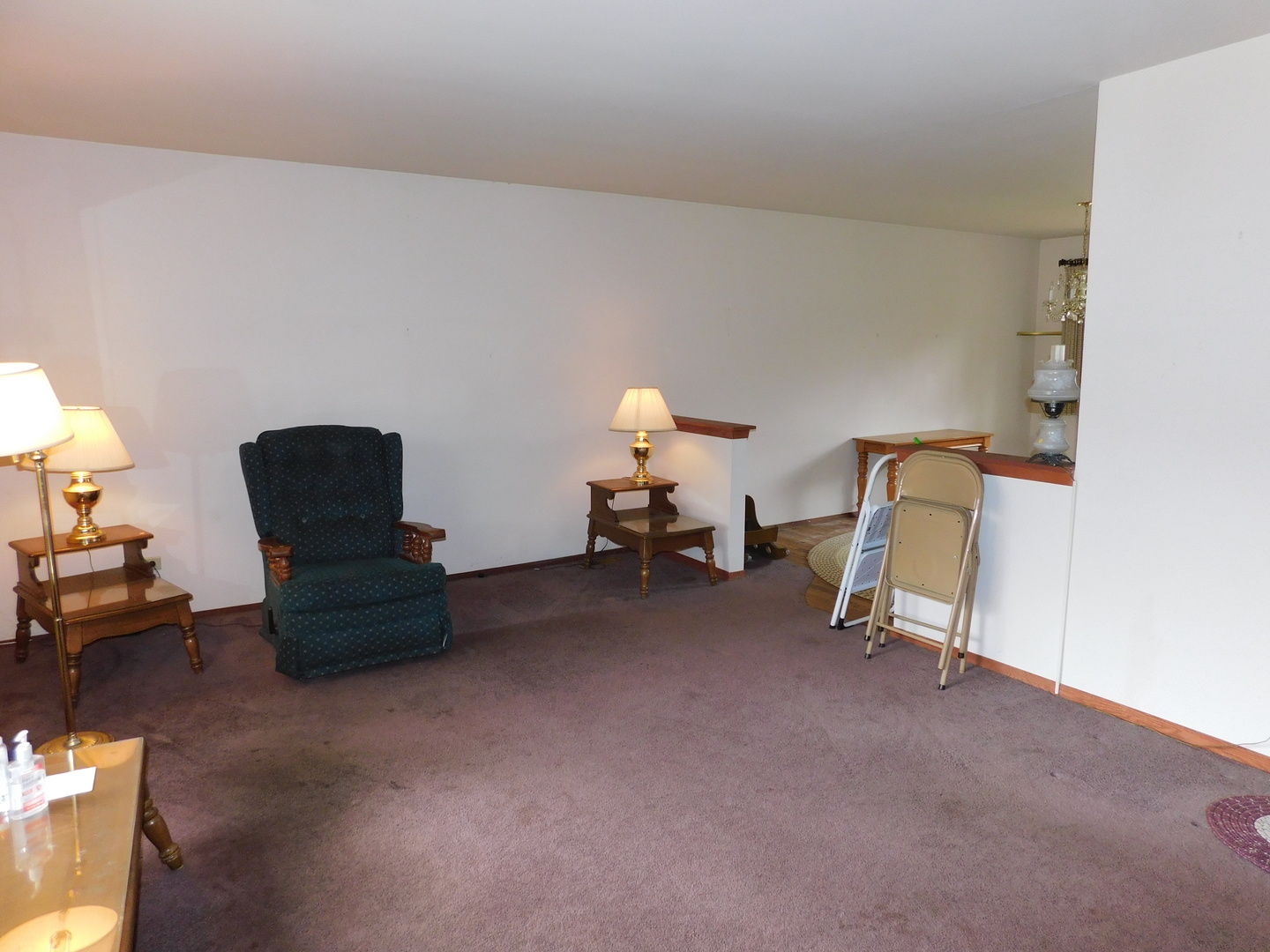 399 Weidner Road Buffalo Grove, IL 60089 - Photo 3 of 16