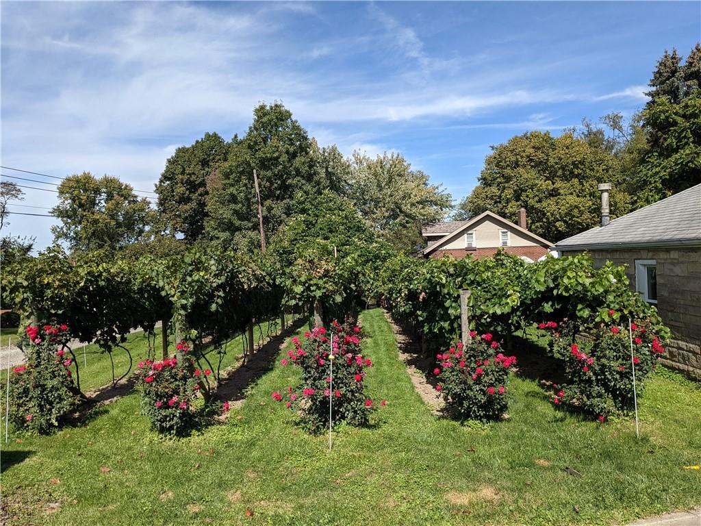 6920 Shannon Road Verona, PA 15147 - Photo 39 of 47 Vineyard