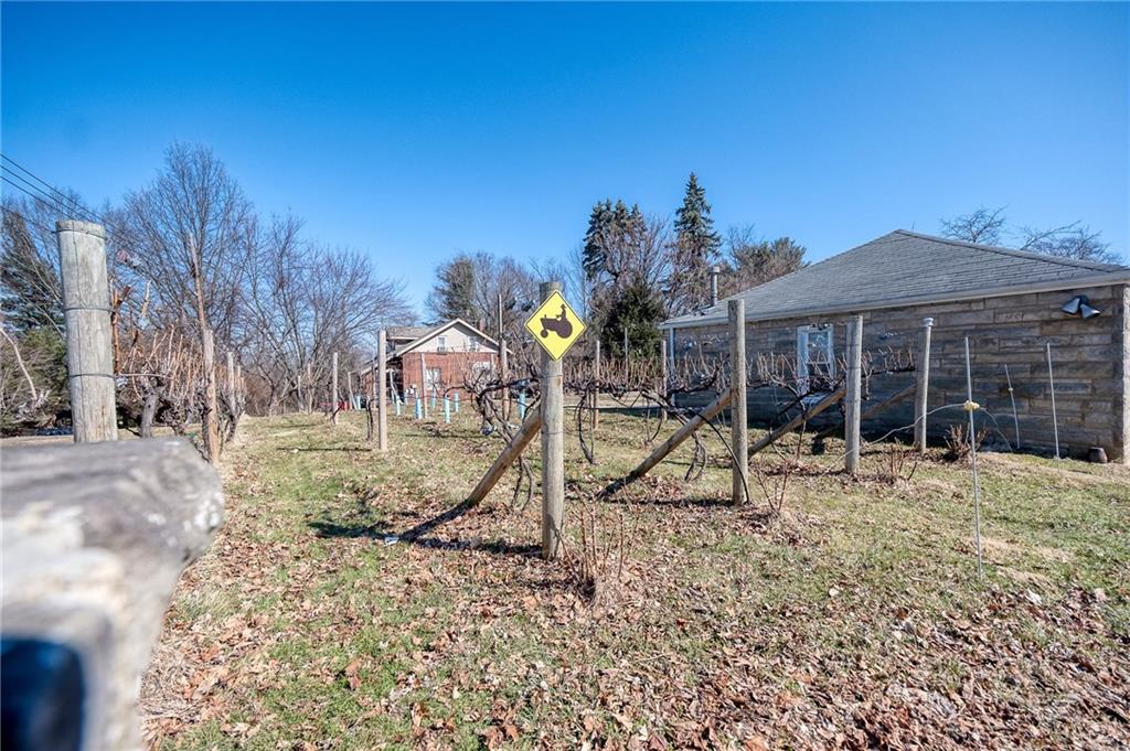 6920 Shannon Road Verona, PA 15147 - Photo 40 of 47 Vineyard