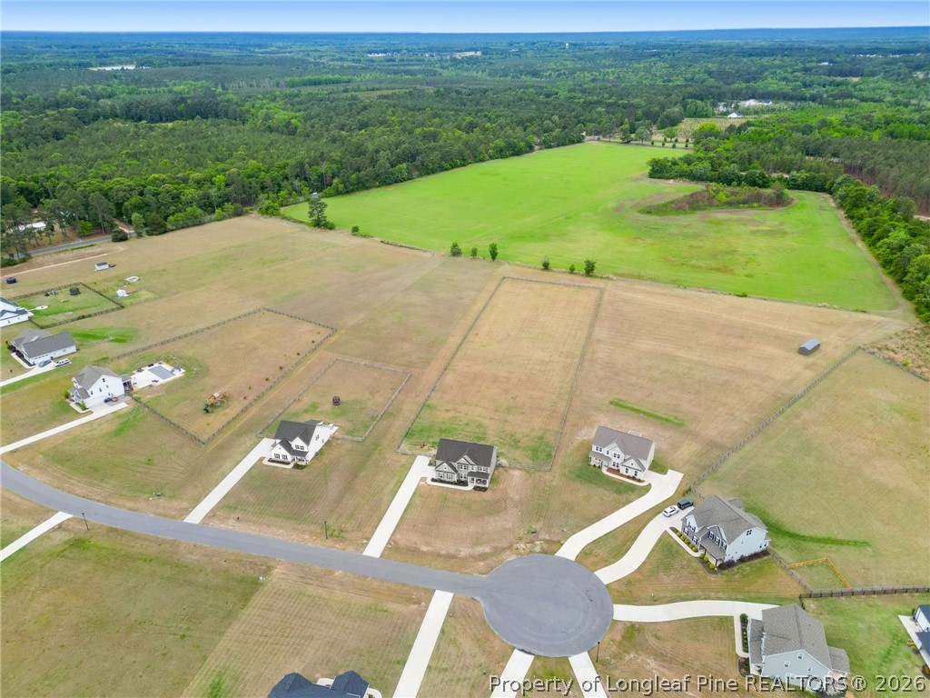 319 Rocking Horse Lane Raeford, NC 28376 - Photo 36 of 37