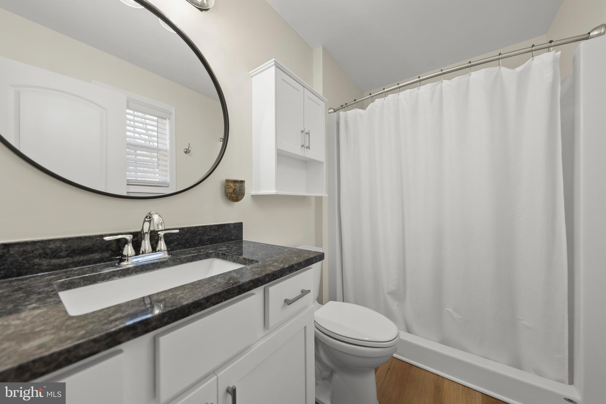 4009 Ridge Road Quicksburg, VA 22847 - Photo 17 of 41 a bathroom with a sink and a mirror