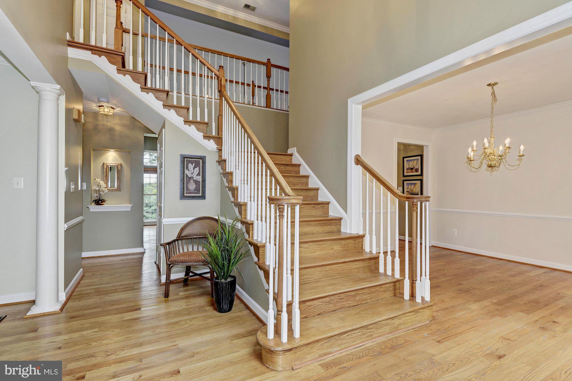 1932 Sycamore Spring Court Cooksville, MD 21723 - Photo 2 of 30 Two Story Foyer