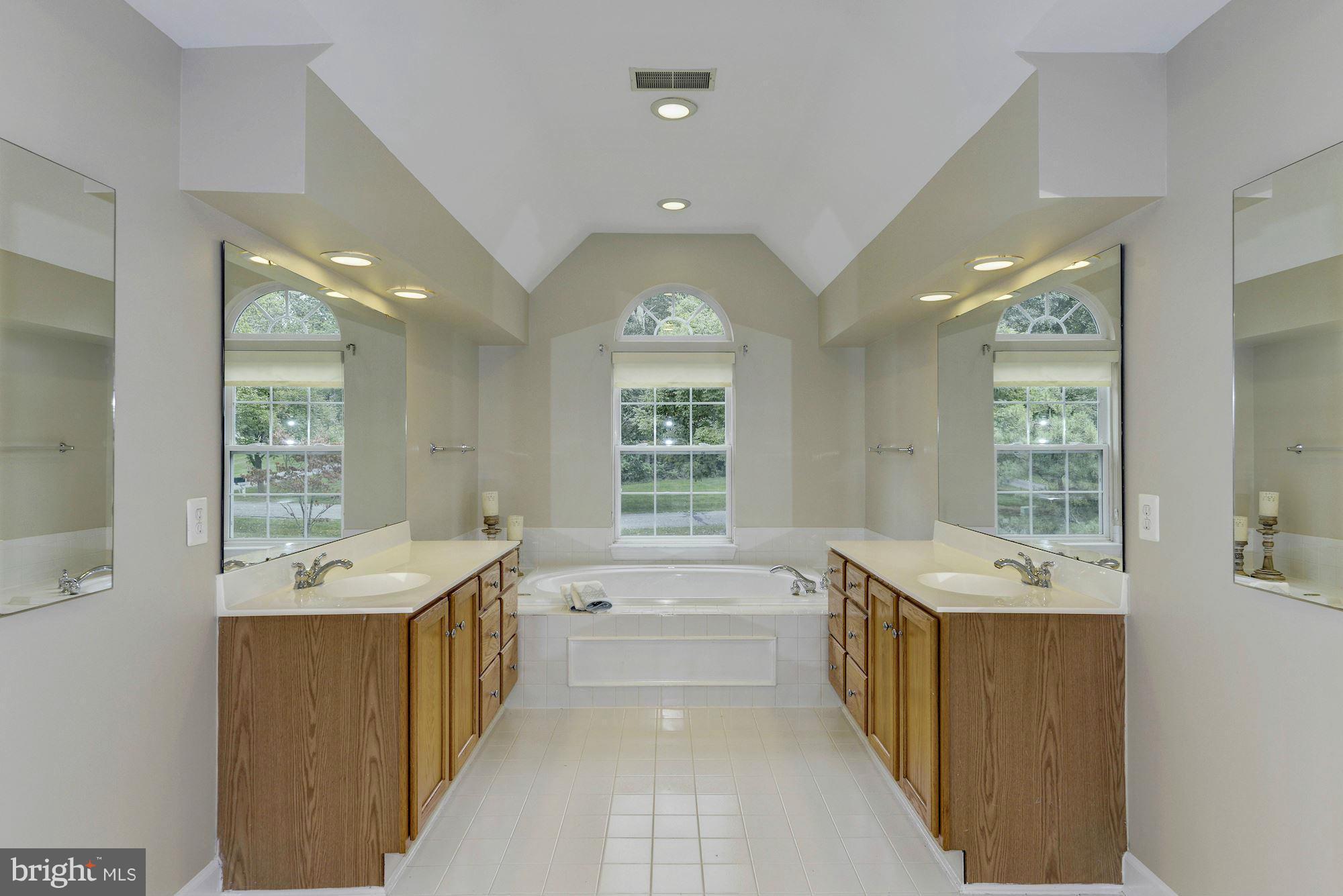 1932 Sycamore Spring Court Cooksville, MD 21723 - Photo 14 of 30 Luxurious Master Bath