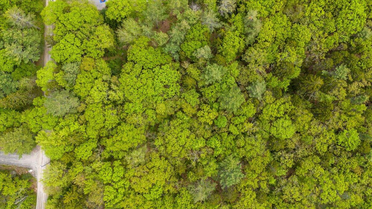 Lot 11 Russell Road Chamberlain, ME 04541 - Photo 13 of 17 Lot 11