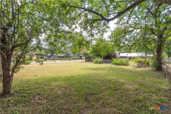 a view of yard with tree and green space