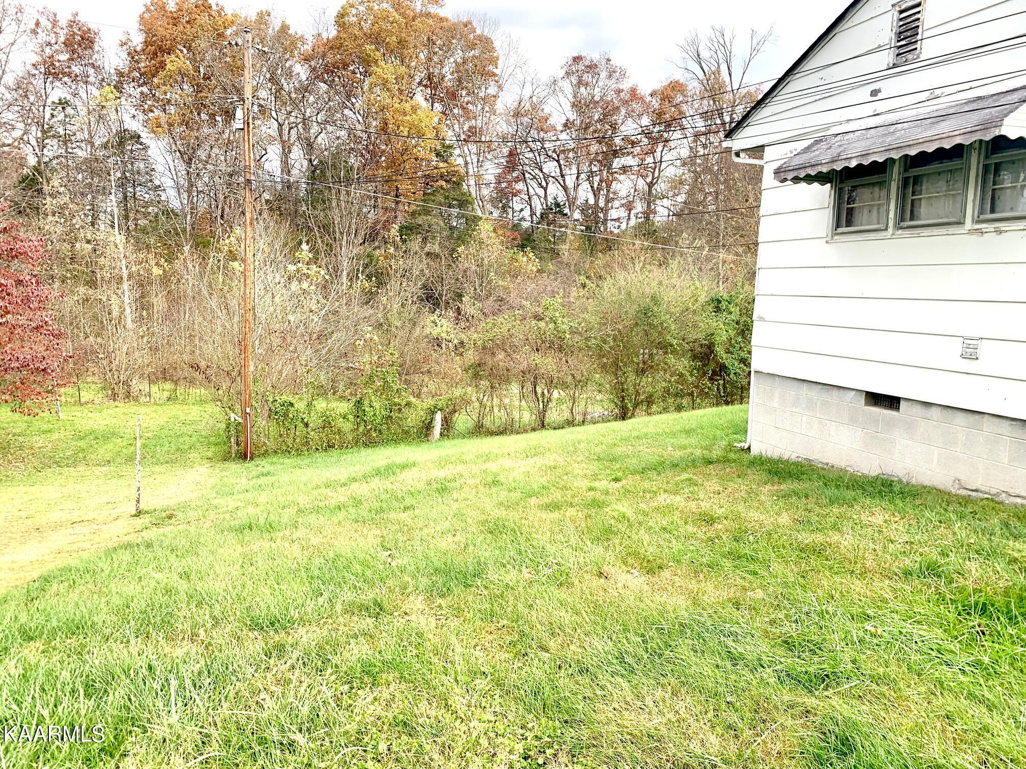 955 Davis Chapel Road La Follette, TN 37766 - Photo 9 of 13 pic 15
