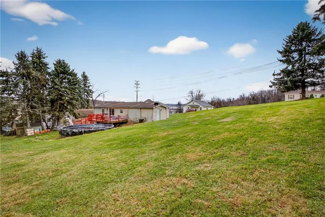 a view of a park that has large trees