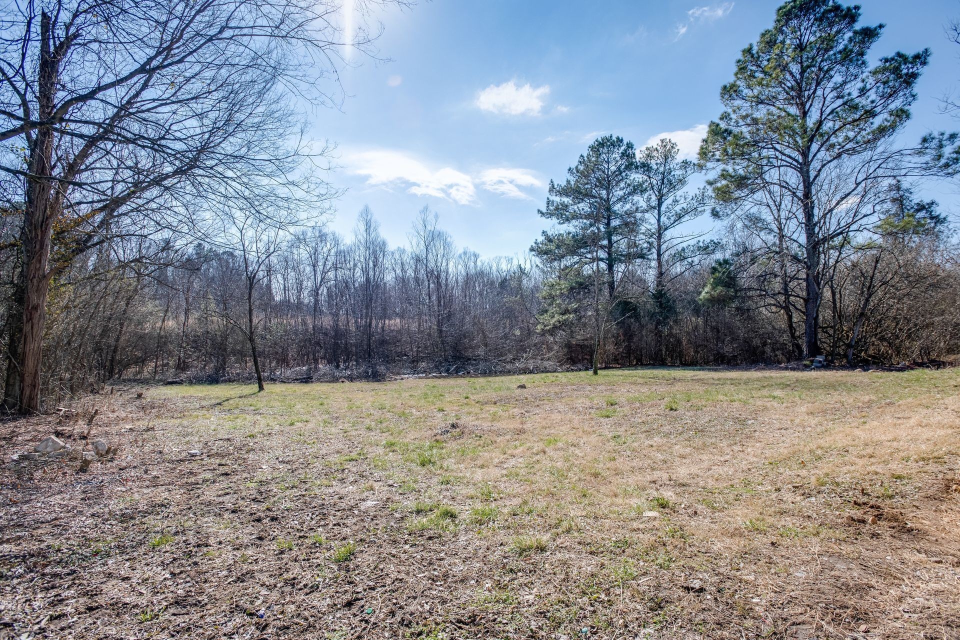 3010 Sardis Ridge Road Parsons, TN 38363 - Photo 4 of 28 Gallery Image 4