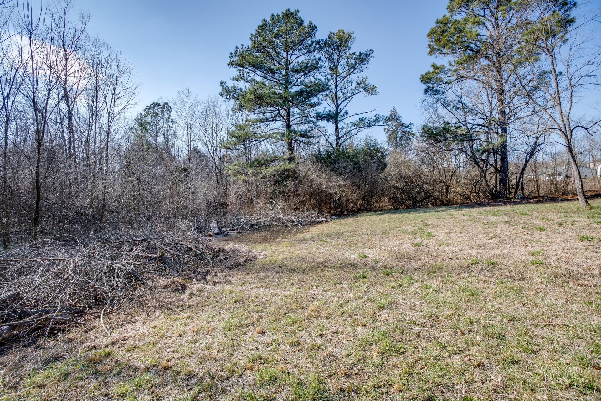 3010 Sardis Ridge Road Parsons, TN 38363 - Photo 9 of 28 Gallery Image 9
