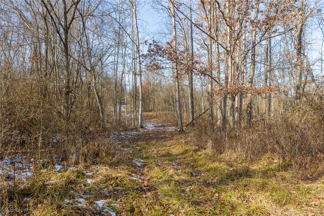 377 State Route Malta, OH 43758 - Photo 19 of 36 View of nature